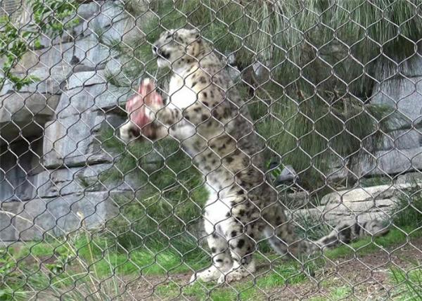 Tela de vedação de aço inoxidável durável para segurança animal
