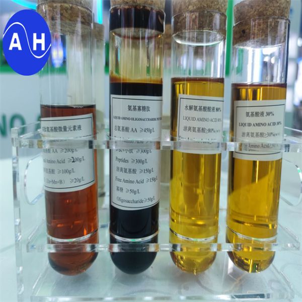 Amino Acid Chelated Organic Magnesium Liquid Foliar Plant Growth