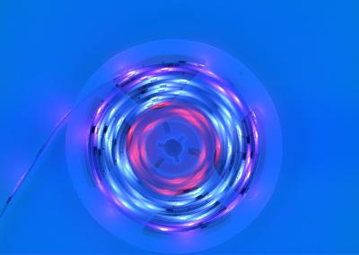 Luzes de tira conduzidas mágicas espertas de DC12V 5m 28w Bluetooth