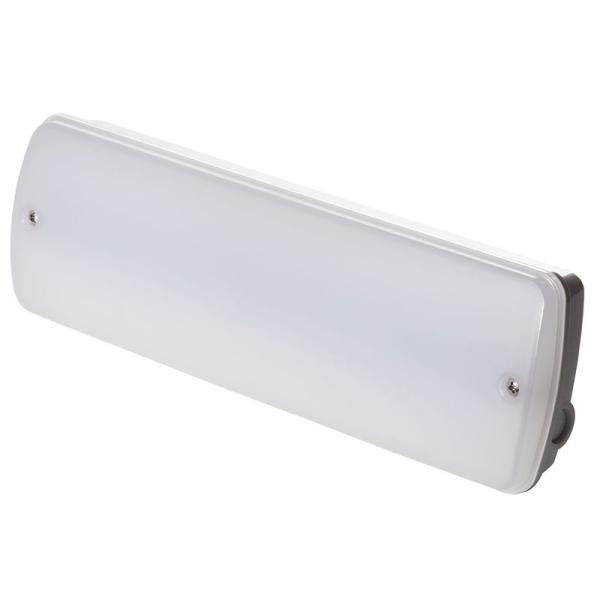 IP65 Waterproof Emergency Light 3W Maintained LED PC Cover Fireproof L121N