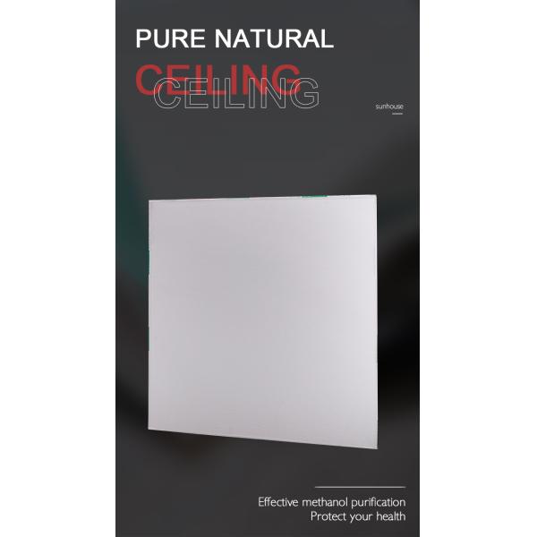 Белое лоснистое прокатанное доказательство дыма доказательства прессформы потолка PVC водоустойчивое