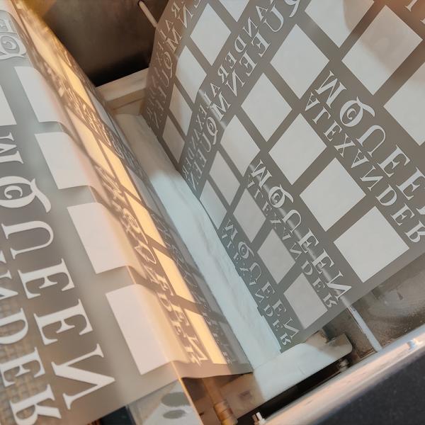 Wholesale Transfer Paper 60cm 30cm Pet Double Sided Matte Dtf Film Roll for DTF Printer