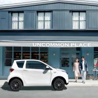 EEC Approved Solar Electric Car Solar 2 Low Usage Cost 2 Doors 2 Seats Mini Car
