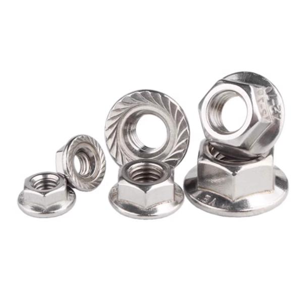 M10 M12 Stainless Steel Hex Flange Nut SS304 316 316L Polish Plain Finish DIN6923
