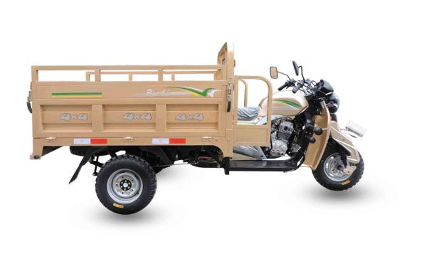 200cc Cargo Tricycle with 900kg Load Capacity 2000x1300mm Cargo Box
