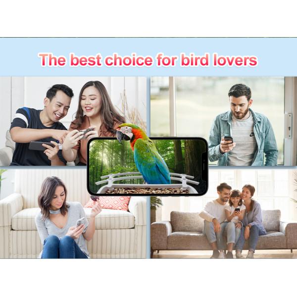 IP66 impermeable 4MP Smart Bird Feeder 2.5L Vida silvestre cámara inteligente para pájaros