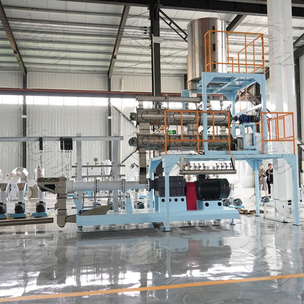 New Product Large Capacity 2-6t/h Automatic Twin screw sinking fish feed Extruder  Dog Cat Fish Pet Food Pellet Making Machine for sale