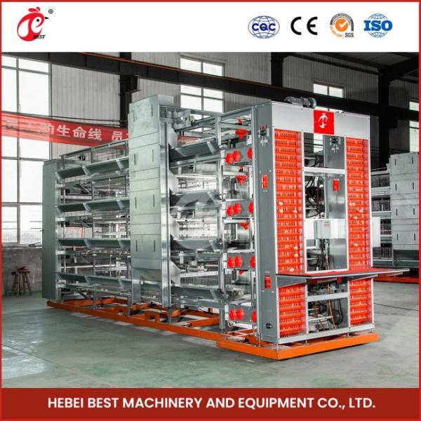 Poultry Farm Design Laying Hens Poultry Automatic Battery Cages 144 Birds For Sale Mia