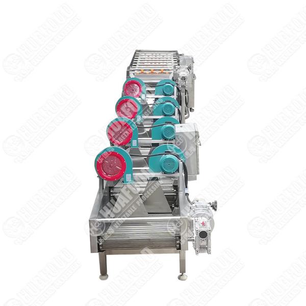 Farm Grape Processing Line Apple Washing Machine Oranges Sorting Equipment