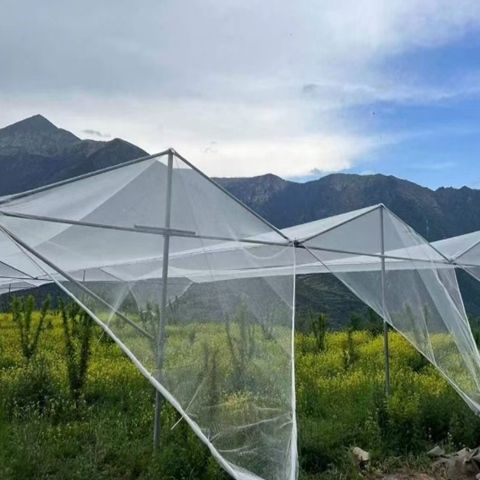 Effective Crop Anti Hail Netting With 0.8mm And 0.5mm Opening Sizes