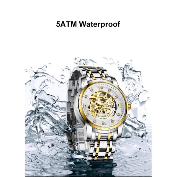 Механические часы из нержавеющей стали OEM 3ATM Автоматические скелетонизированные часы