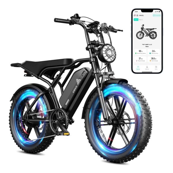 Factory Price EU Warehouse Stock R002 48V 15AH Fat Tire Vintage Off-Road E-bike 20inch Electric Bike 750~1200W, 55km~75km