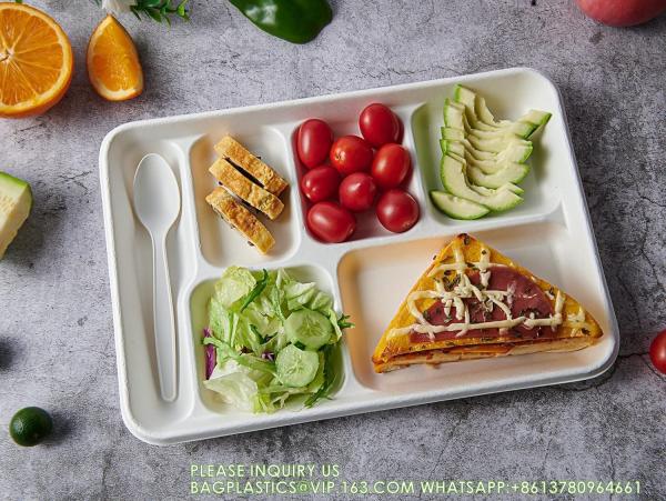 Compostable 6 Compartment Plates, 90 Pack Compartment Paper Plate, 12.5 * 8.6 inch Disposable School Lunch Trays