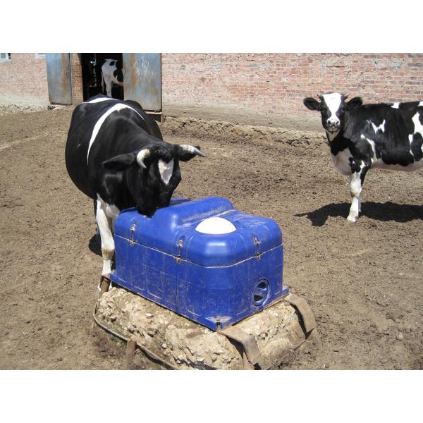 Ринв воды поголовья LLDPE