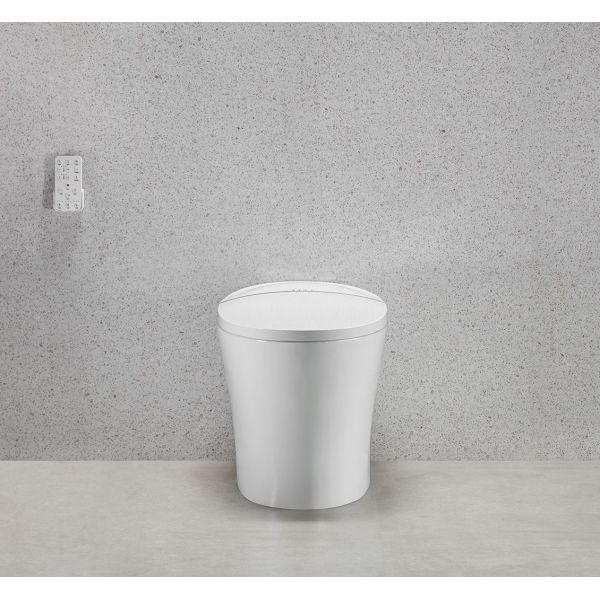 Arrow Remote Control Modern Ceramic Smart Toilet Bidet with Concealed Tank for Bathroom