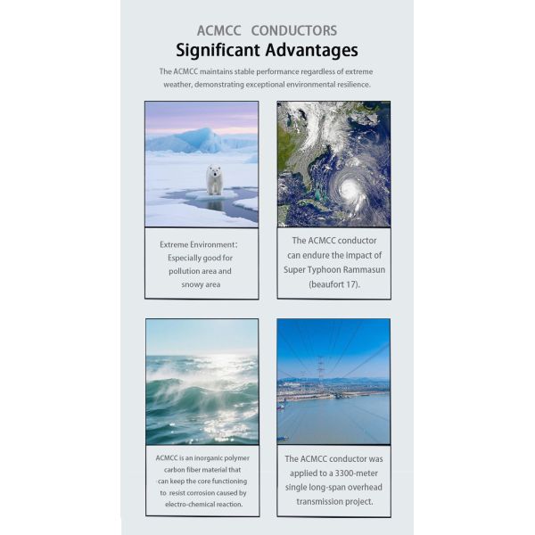 Corrosion Resistant Carbon Fiber Core