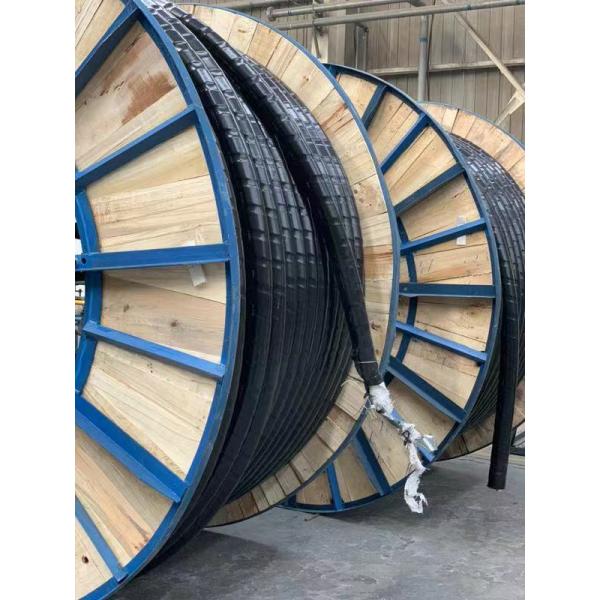 Low Voltage Unarmoured Fire Resistant Power Cable / 0.6/1KV 2 Core Heat Resistant Cable (LSZH/ NYY/N2XY/)