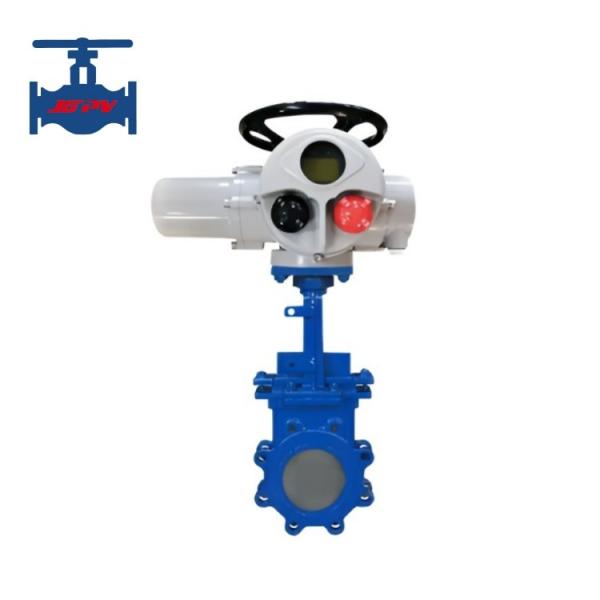 Industrial Electric Wafer Gate Valve with Manual Actuation and Screw Connection