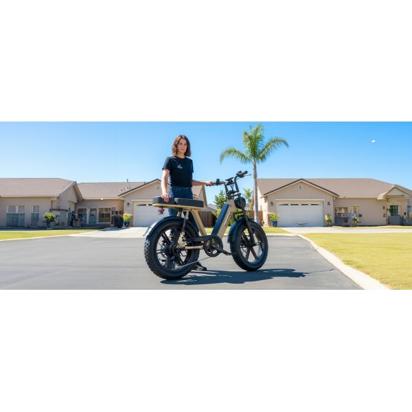 R7 Electric Multi-Purpose E-Bike Brushless Steel Frame Dual Suspension Disc Brake Rear Hub Motor 15AH Electric Utility Bike