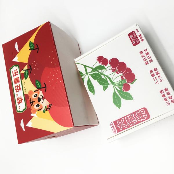 Reusable Impact Resistance Waterproof Corrugated Plastic Carton Polypropylene Box 4mm