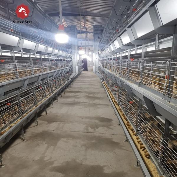 Poultry Farm Broiler Chicken Cage Galvanized Steel Automatic H Type Q235A