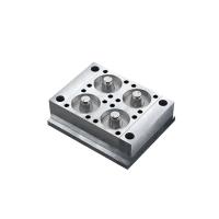 Forme à injection de précision OEM personnalisée