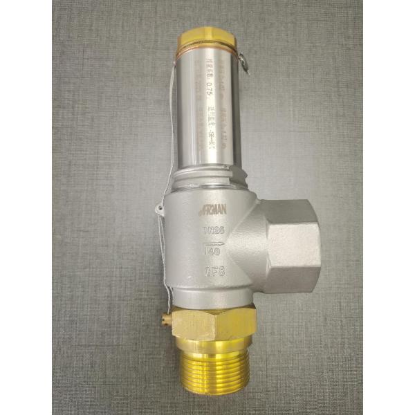 DN50 PN40 Cryogenic Full-Lift Safety Relief Valve for Tanks, Skids / Pumps