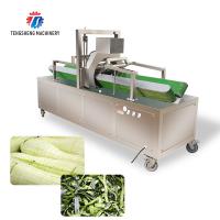 Equipamento horizontal vegetal da cozinha da máquina de descascamento da cabaça da cera do melão de inverno de 350KG 2.2KW