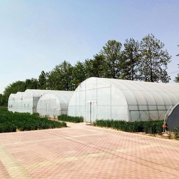 Width 8m 9m 10m Tunnel Plastic Greenhouse For Vegetables Growing