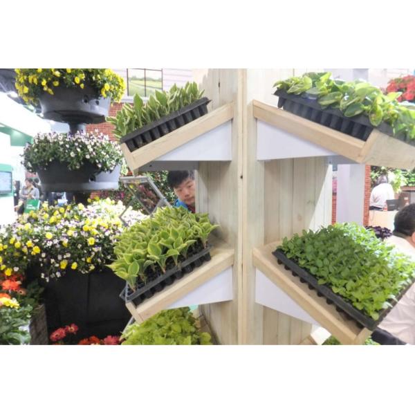 Degradable поднос саженца 105 клеток Hydroponic пластиковый для садовничать