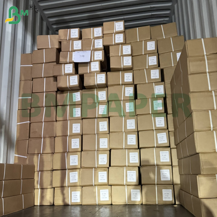 610mm Width CAD Plotter Paper Rolls for Technical Drawing