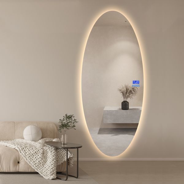 Anti Fog Oval LED Backlit Mirror , Full Length Dressing Mirror Wall Mounted