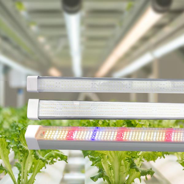 Greenhouse Under Canopy Grow Lights 120W 4FT Grow LED Light For Indoor Farming
