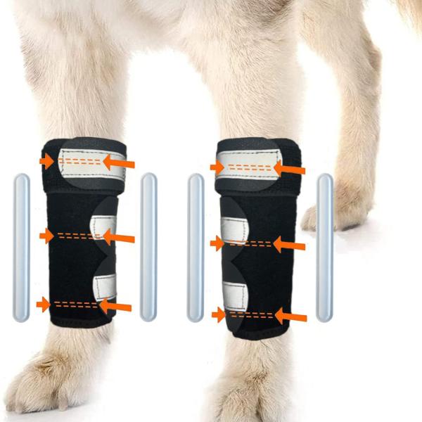 Pets Front Back Legs 