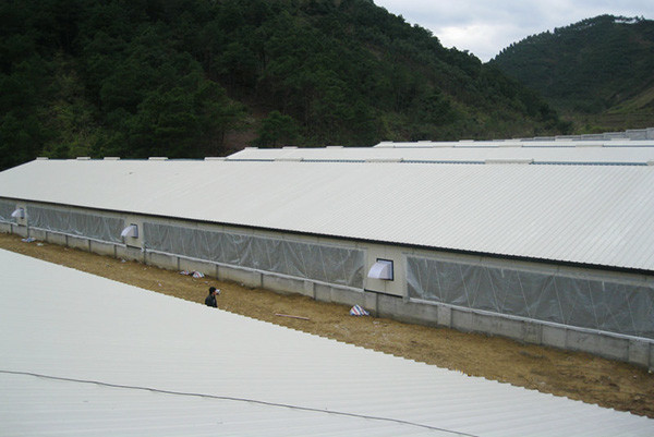 Prefab Steel Structure Poultry House Customized Size / Layout Prefabricated Chicken Houses