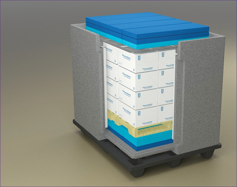 Cooler Cold Chain Packaging Box With EPP