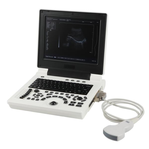 Black&white Portable Medical Ultrasound Scanner Machine for Vet Use