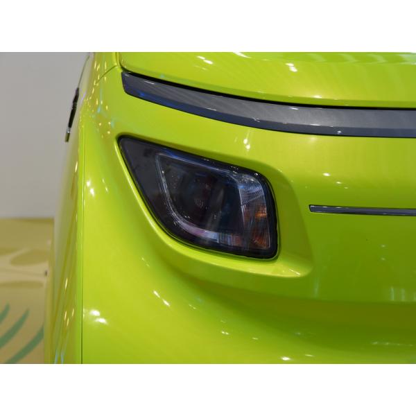 Wuling Nano Nick Ev 2 Seats 4wheel Electric Car Adult 305km Range Fast Charge 4.5H/13.5H