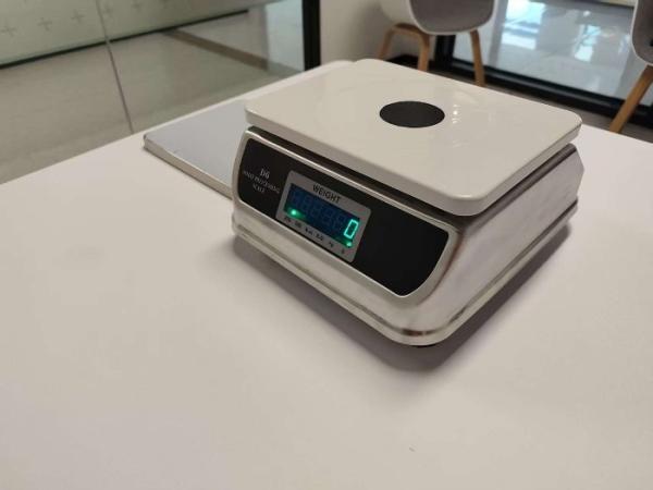 Watertight Wash Down Waterproof Weighing Scale Stainless Steel D6 Series