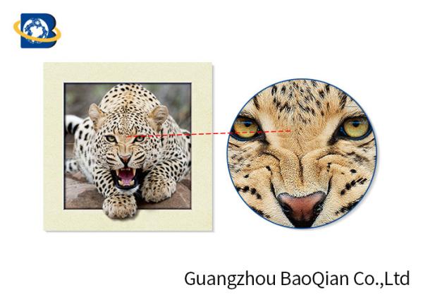 High Definition 3D Image Lenticular Printing Services Decorative Animal Design