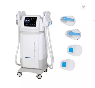 Máquinas da aptidão do EMS para o músculo que esculpe com a máquina do stimulator do músculo do ems do emagrecimento do rf ems
