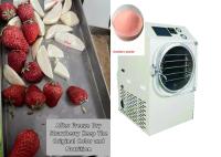 PLC Controlled Food Home Freeze Dryer 6Kg 10Kg Medium Size