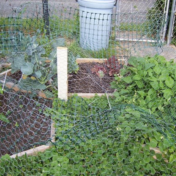 Crawfish Wire Floral Mesh Fishing Net Mesh Chicken Cage For Agriculture Mesh