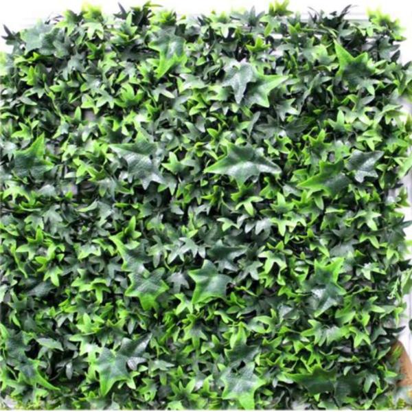 Environmentally Friendly Artificial Wall Grass With Excellent Security Performance For Houses And Cafes Decorations