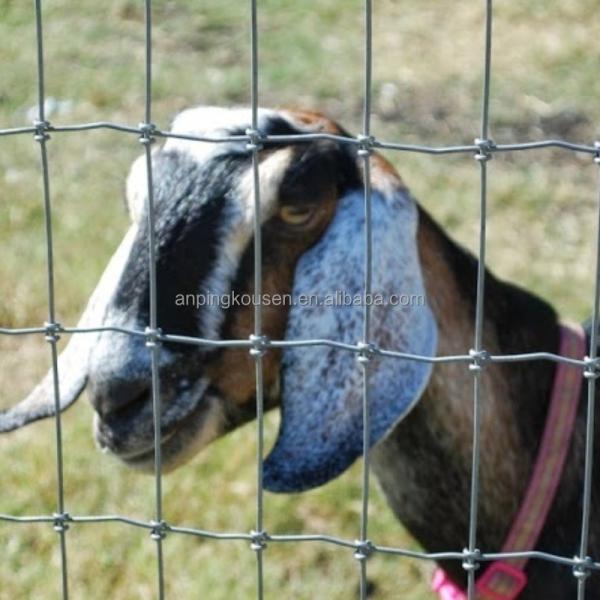 Metal Type Iron Pasture Fence 2.5mm Wire Diameter for Goat Farming 4ft-5ft-6ft-8ft