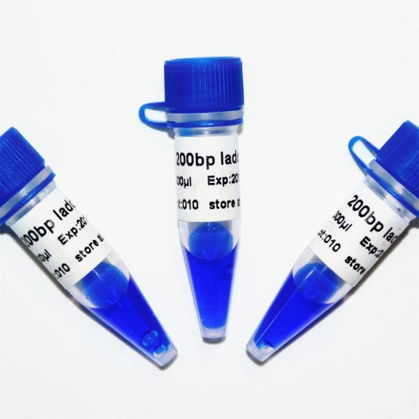 marcador M1151 do ADN da escada 200bp (50μg) /M1152 (5×50μg)
