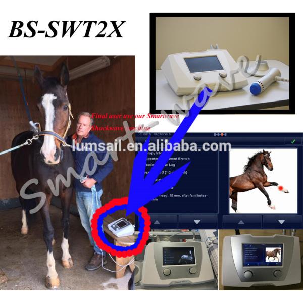 ESWT shockwave vet treatment veterinary extracorporeal shock wave therapy machine horse racing for animal