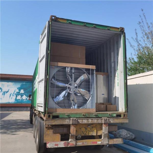 Pig Pen Using 1380mm Wall Mounted Heavy Hammer Box Exhaust Fan for Industrial Poultry Greenhouse Cooling System