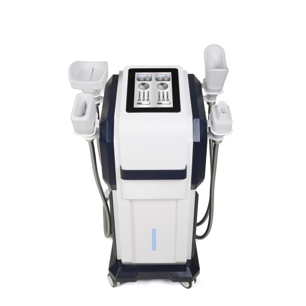 Замораживание Cryolipolysis жирного удаления жирное уменьшая ваять тела EMS Cryo машины