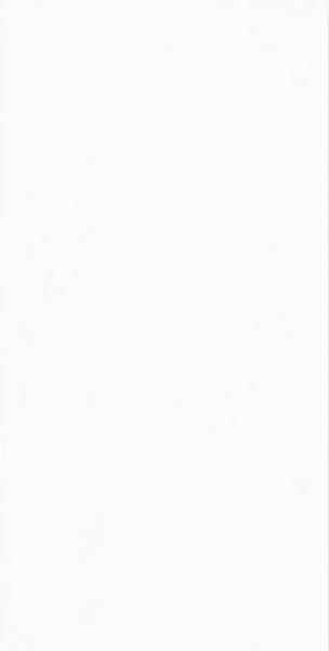 AAA Grade 600x1200mm Wear-Resistant Porcelain Tile for Indoor Walls